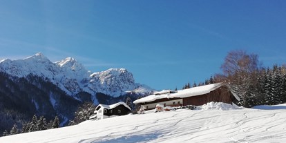 vacation on the farm - Umgebung: Urlaub in den Feldern - Mühlwald (Trentino-Südtirol) - Nockhof