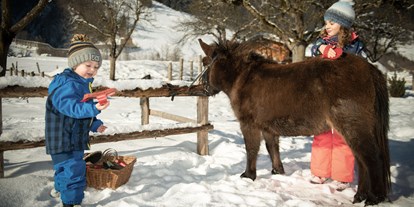 vacanza in fattoria - Tiere am Hof: Ponys - Pabing (Saalfelden am Steinernen Meer) - Schmiedhofgut