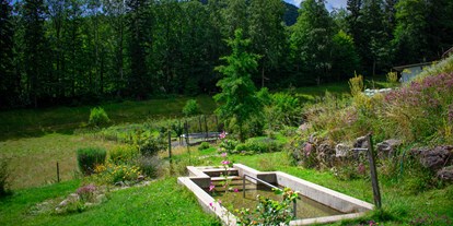 Urlaub auf dem Bauernhof - Umgebung: Urlaub in den Hügeln - Schweiz - Unser Kneippbecken  - Berghof Montpelon