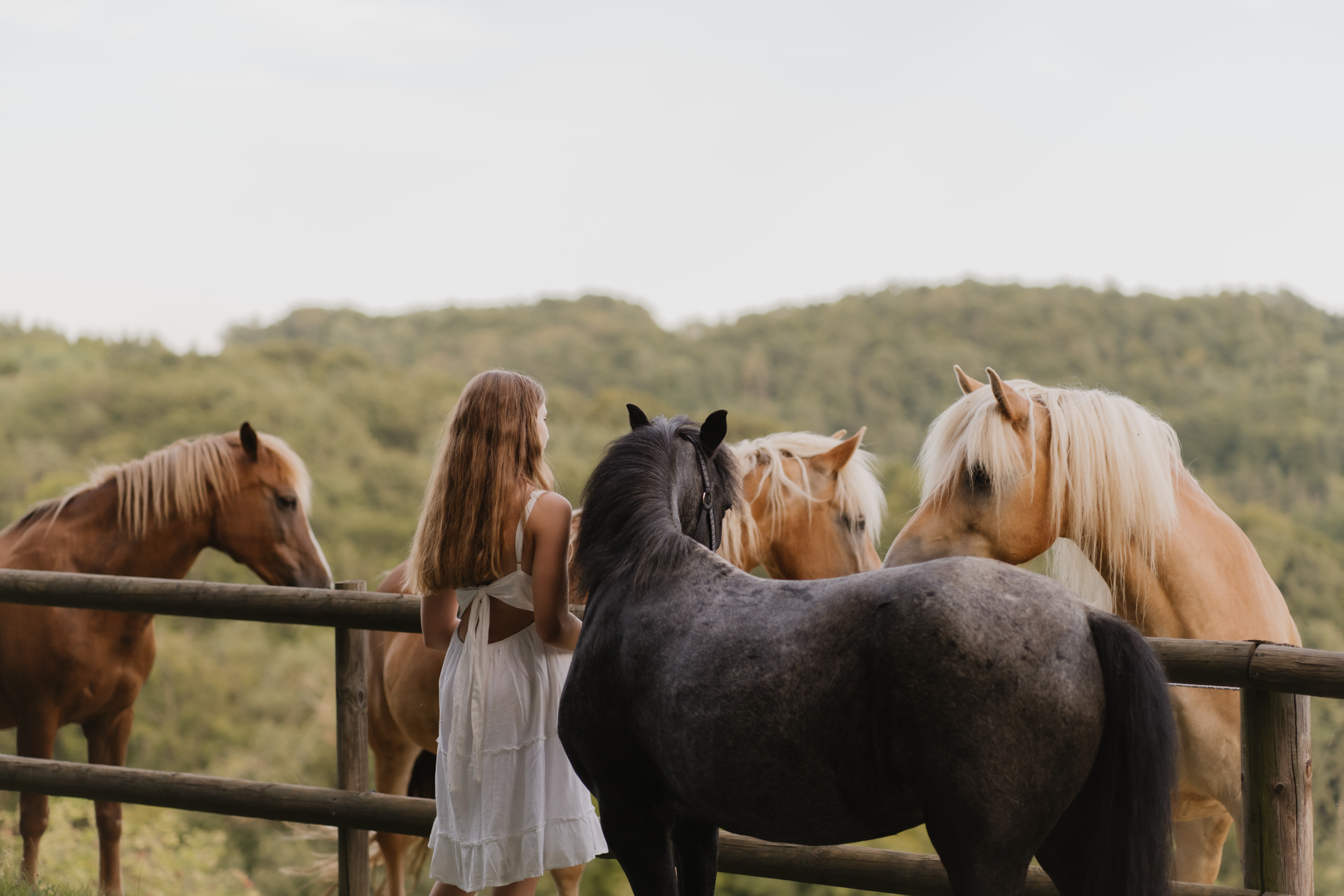 Agriturismo - Auszeit-Hof Südburgenland