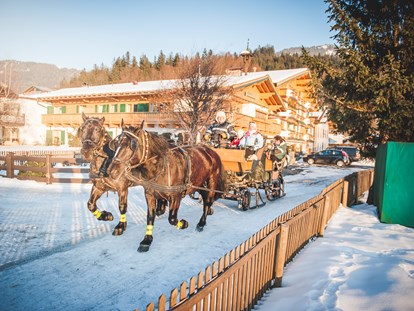 Urlaub auf dem Bauernhof - geeignet für Events - Voldöpp - Unsere Norika - Pferde ziehen im Winter den großen Schlitten durch die verschneite Landschaft. - Familotel Landgut Furtherwirt