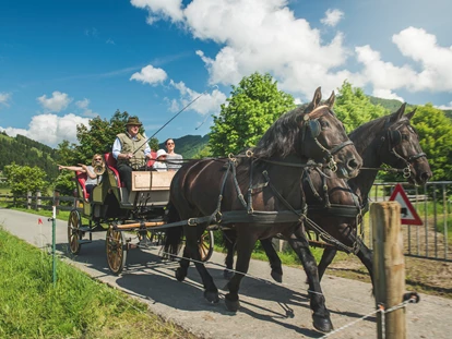 Urlaub auf dem Bauernhof - Tagesausflug möglich - Bsuch - Pferdekutschfahrt im Sommer - Familotel Landgut Furtherwirt