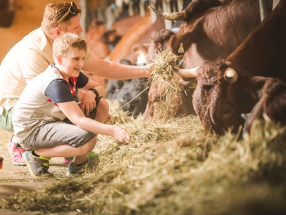 vacation on the farm - Fahrzeuge: Güllefass - Griesbachwinkl - Im Kuhstall haben wir 30 Pinzgauer Kühe mit Jungtieren und Kälbchen.
Die Kühe produzieren unsere gute Bio - Milch - Familotel Landgut Furtherwirt