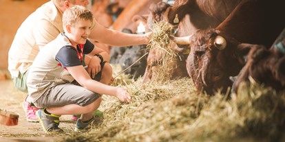 Urlaub auf dem Bauernhof - PLZ 6341 (Österreich) - Im Kuhstall haben wir 30 Pinzgauer Kühe mit Jungtieren und Kälbchen.
Die Kühe produzieren unsere gute Bio - Milch - Familotel Landgut Furtherwirt