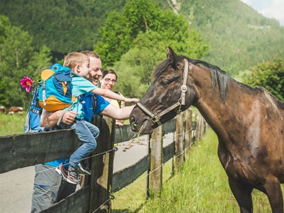 vacation on the farm - Verleih: Wanderstöcke - Hütten (Leogang) - Unsere Kühe und Pferde können Sie im Sommer täglich auf der Weide besuchen. - Familotel Landgut Furtherwirt