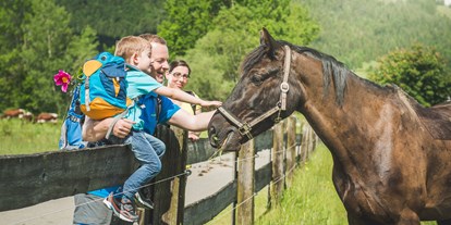 Urlaub auf dem Bauernhof - erreichbar mit: Bus - PLZ 5771 (Österreich) - Unsere Kühe und Pferde können Sie im Sommer täglich auf der Weide besuchen. - Familotel Landgut Furtherwirt