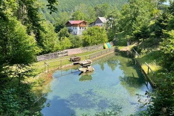 Ferien Bauernhof: Hofteich mit Gästehaus - Büchlhof 