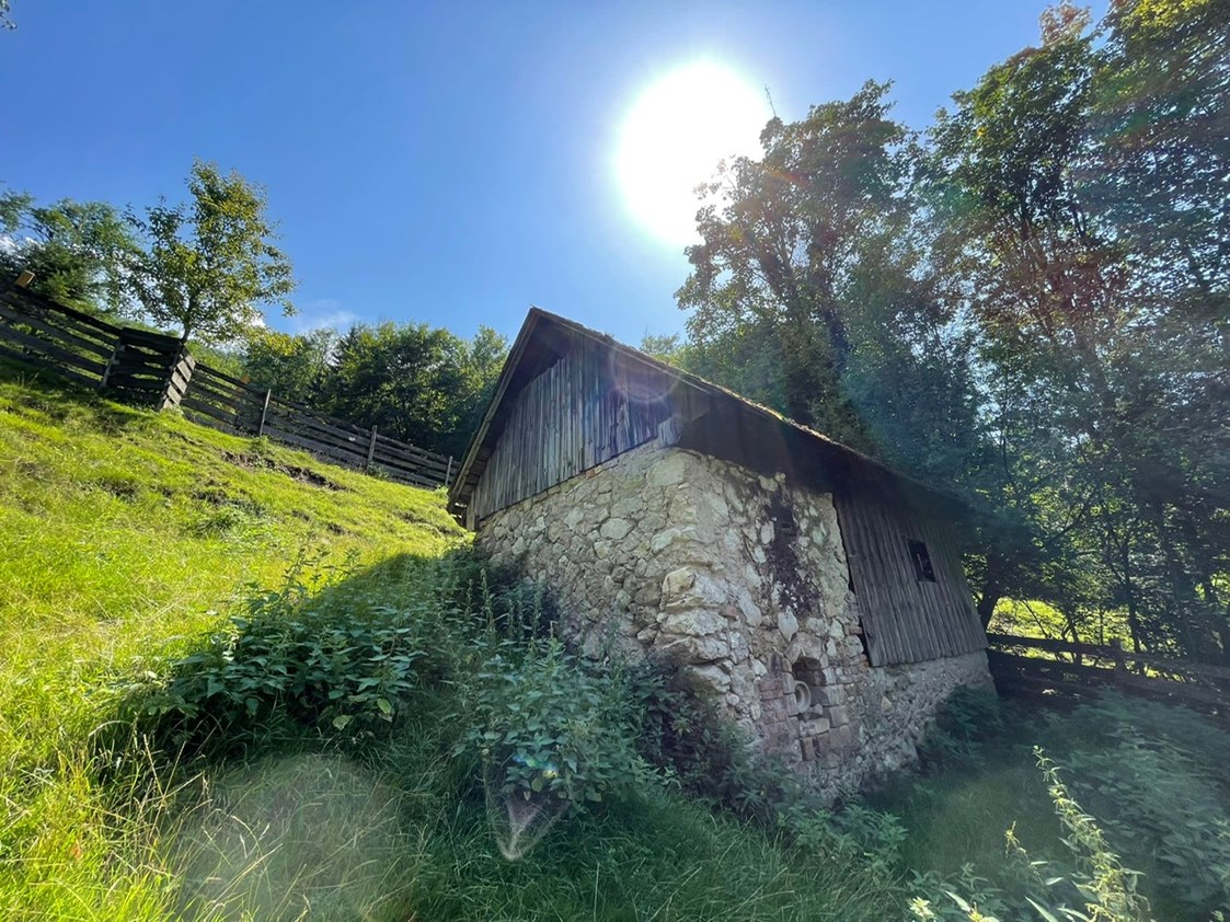 Ferien Bauernhof: Dörrhütte - Büchlhof 