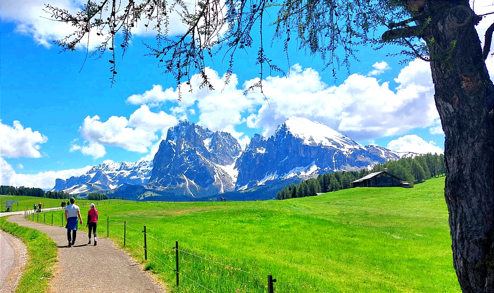 odmor na imanju - Der Frühling erwacht auf der Seiser Alm - Binterhof SPRING VIBES