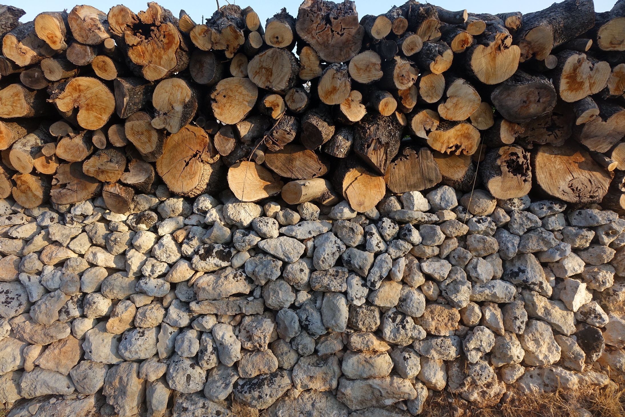 Ferien Bauernhof: giardino suite - Giardino del Tempo