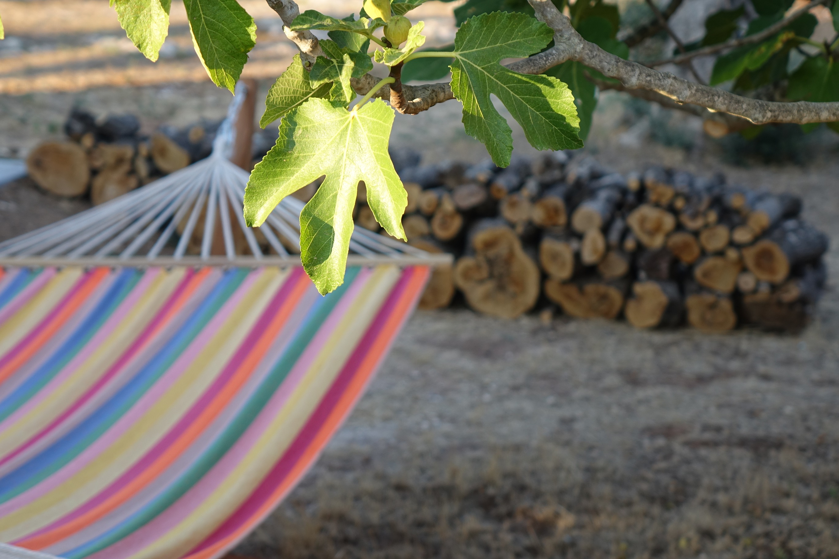 Ferien Bauernhof: suite amaca - Giardino del Tempo
