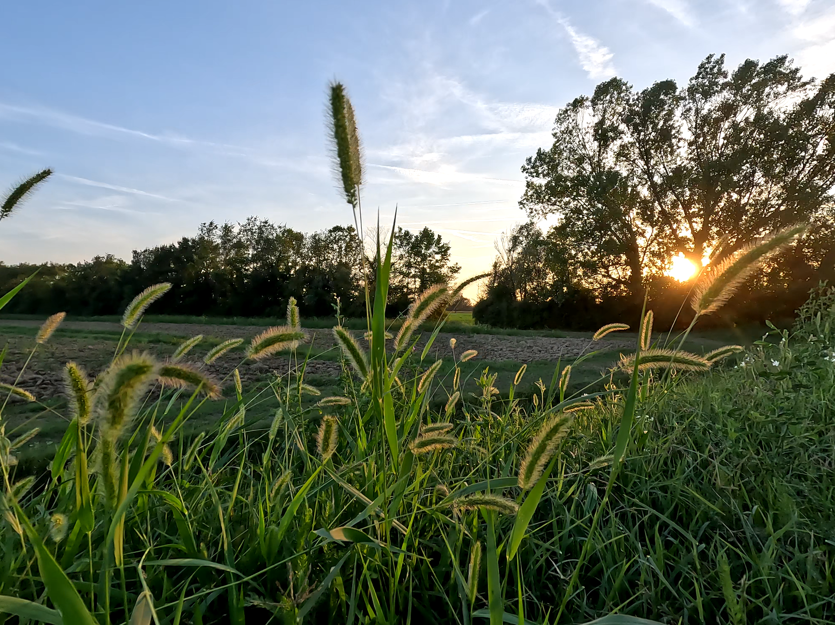 Ferien Bauernhof: La nostra campagna - AMOLER, agriturismo con pernottamento e prima colazione a due passi da Venezia
