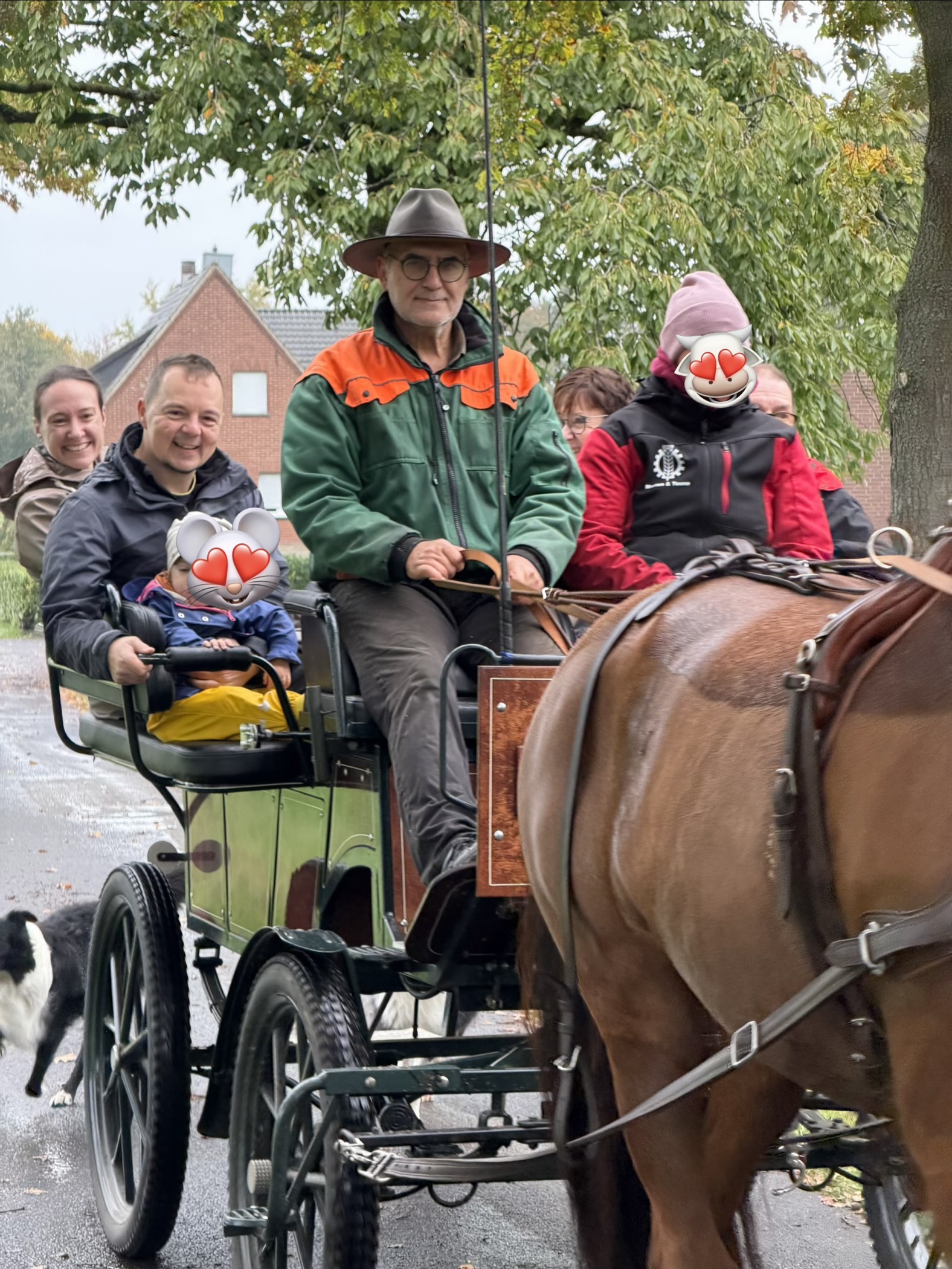 odmor na imanju - Sjeverna Rajna-Vestfalija - Eine schöne Ausfahrt mit der Kutsche geniessen - Relax und Wellness Landhaus Up’n Wall