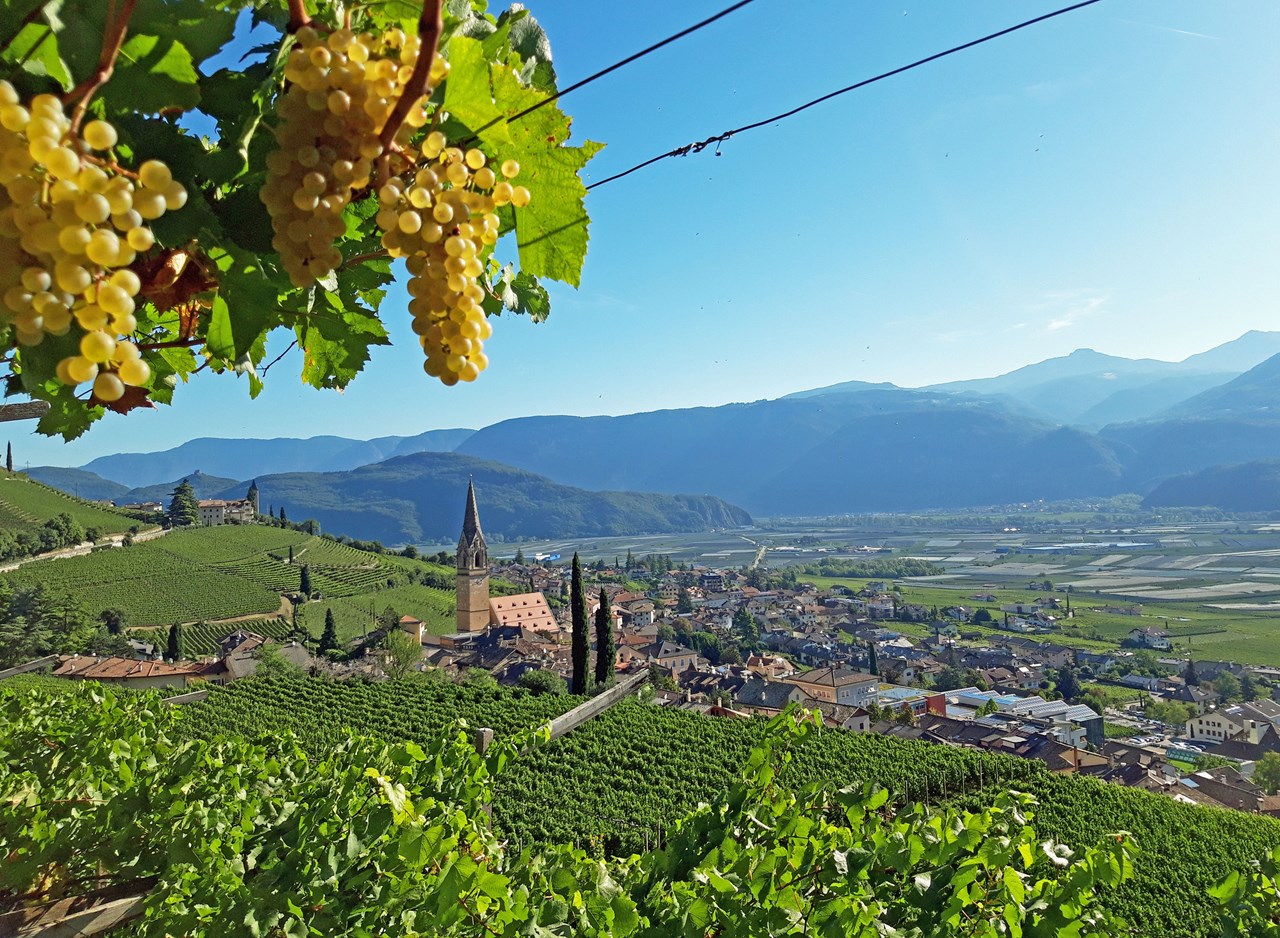 Tholr Ferienwohnungen  Destinations Explore Tramin