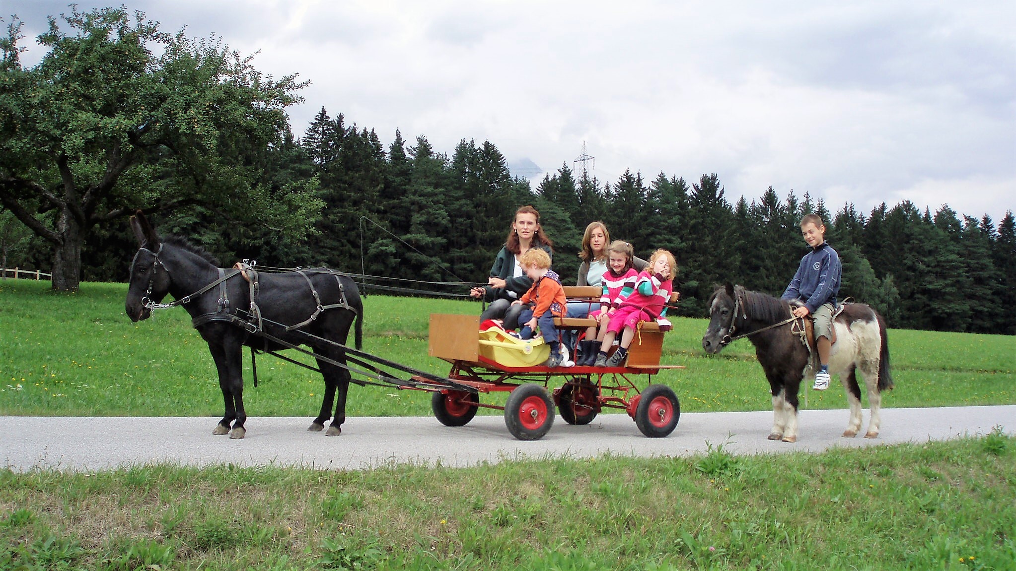 vacanza in fattoria - Frühstück - Wirtshaus Nattererboden