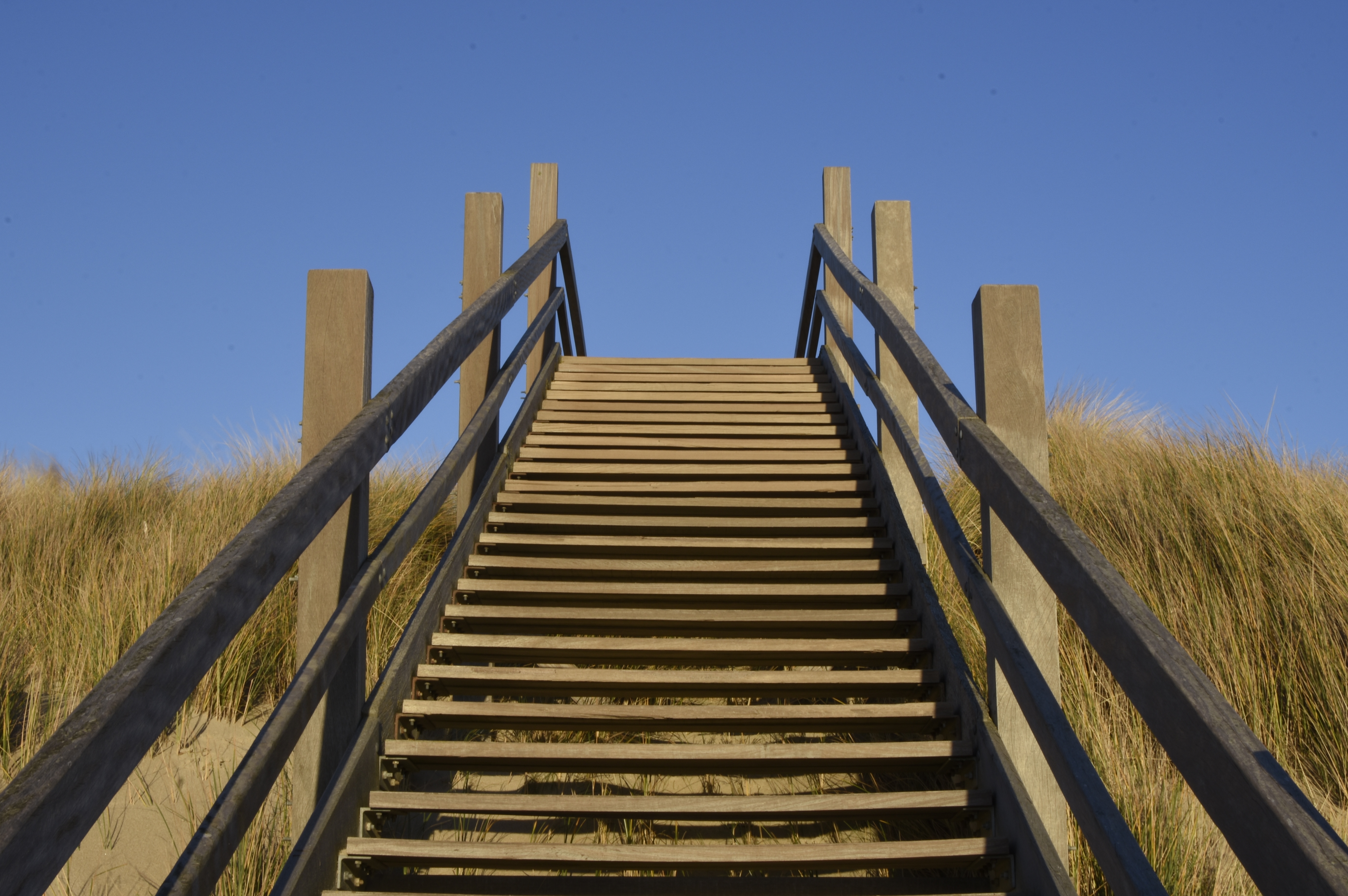 počitnice na kmetiji - Art der Unterkunft: Chalet - Strand Zoutelande - minicamping De Visser