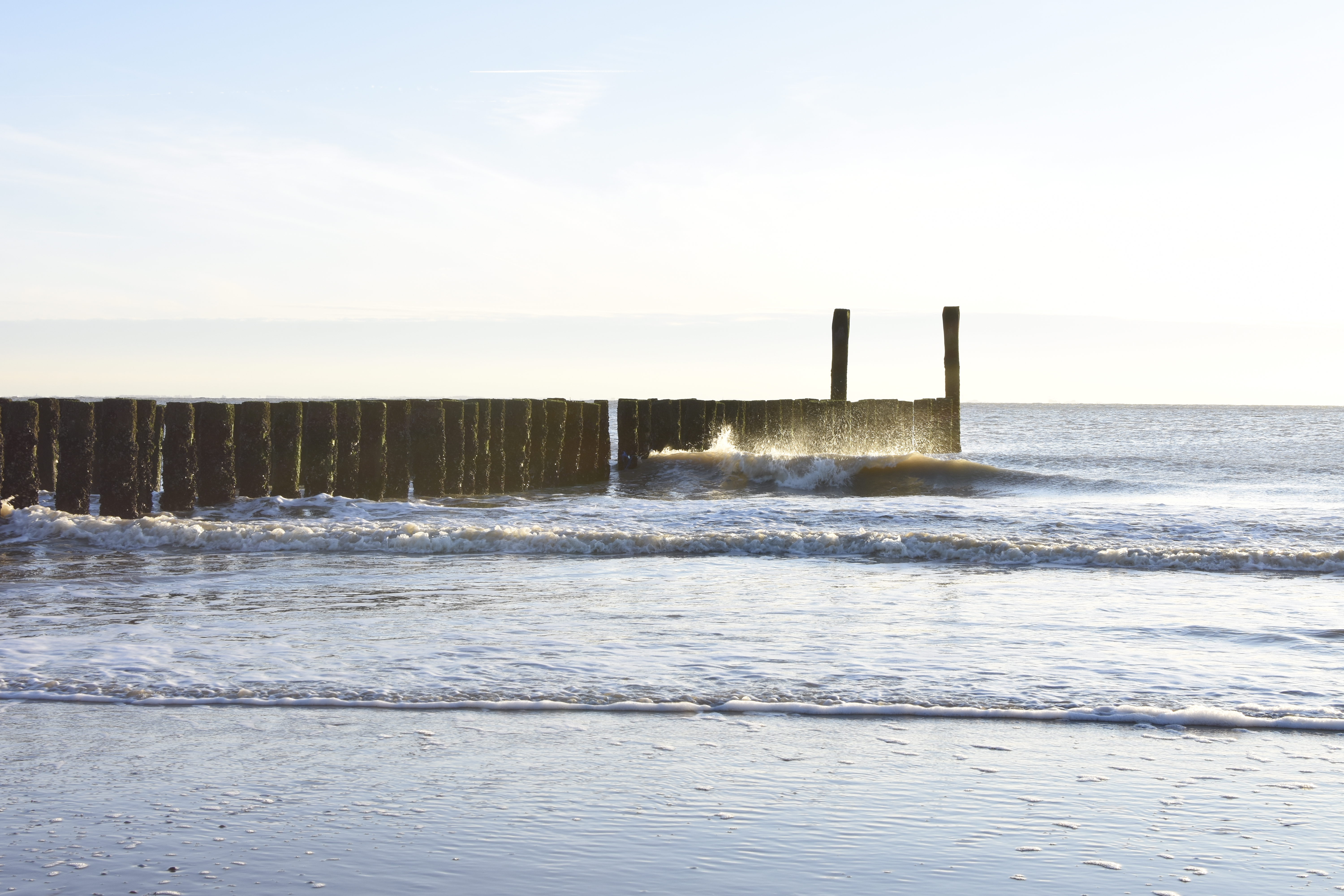 Ferien Bauernhof: Strand Zoutelande - minicamping De Visser