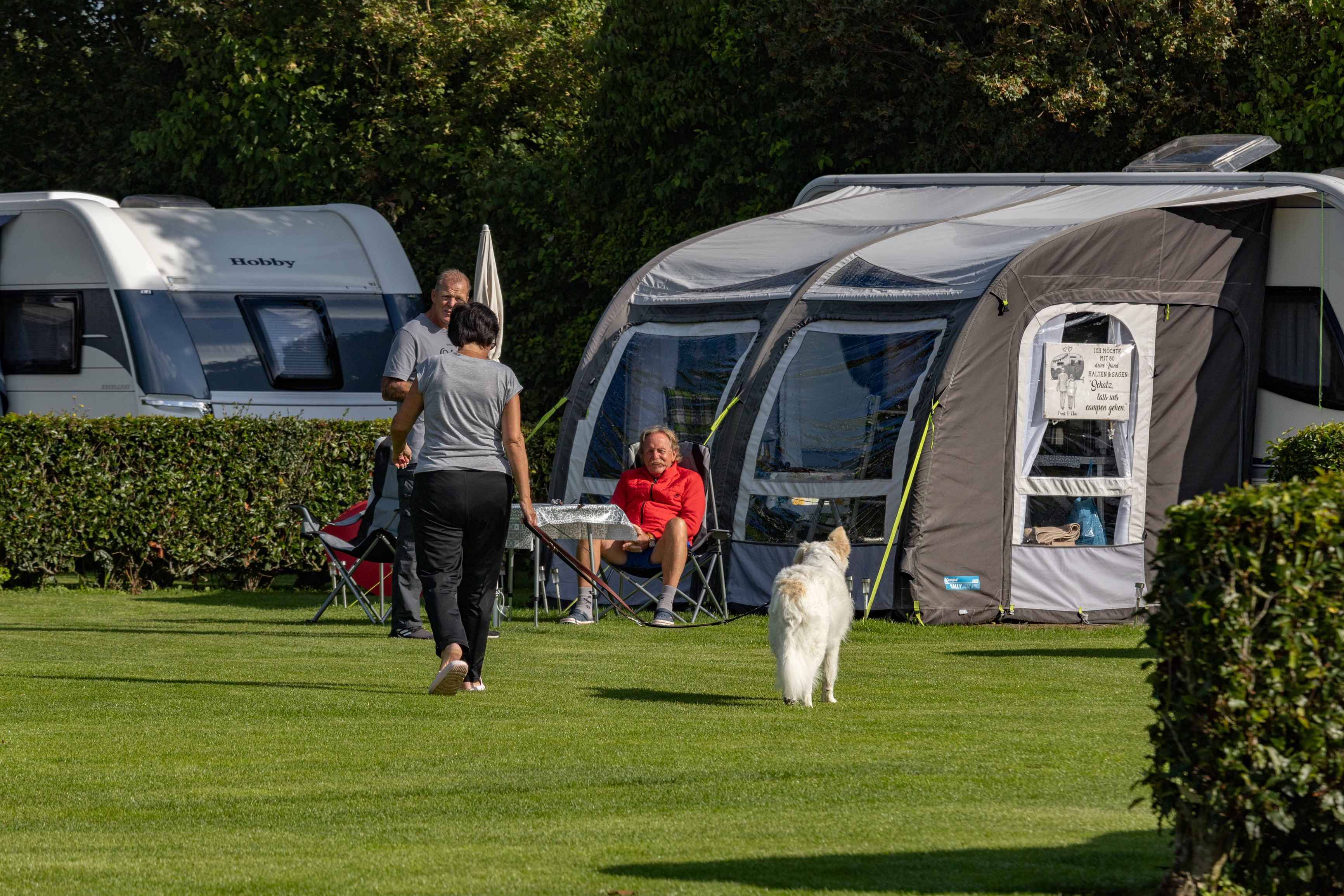 Ferien Bauernhof: Honden welkom - minicamping De Visser