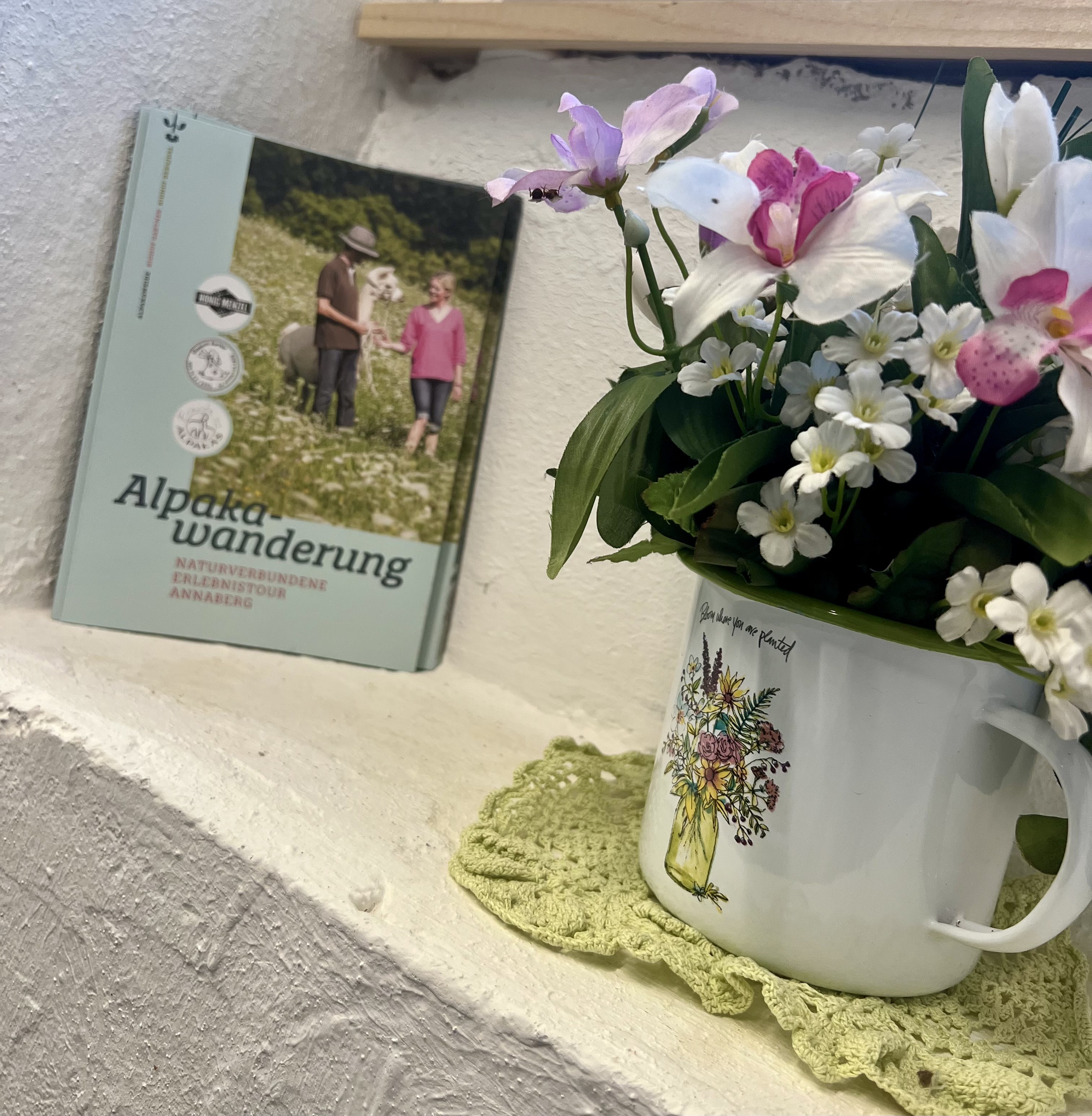 Ferien Bauernhof: Freude an Alpakas