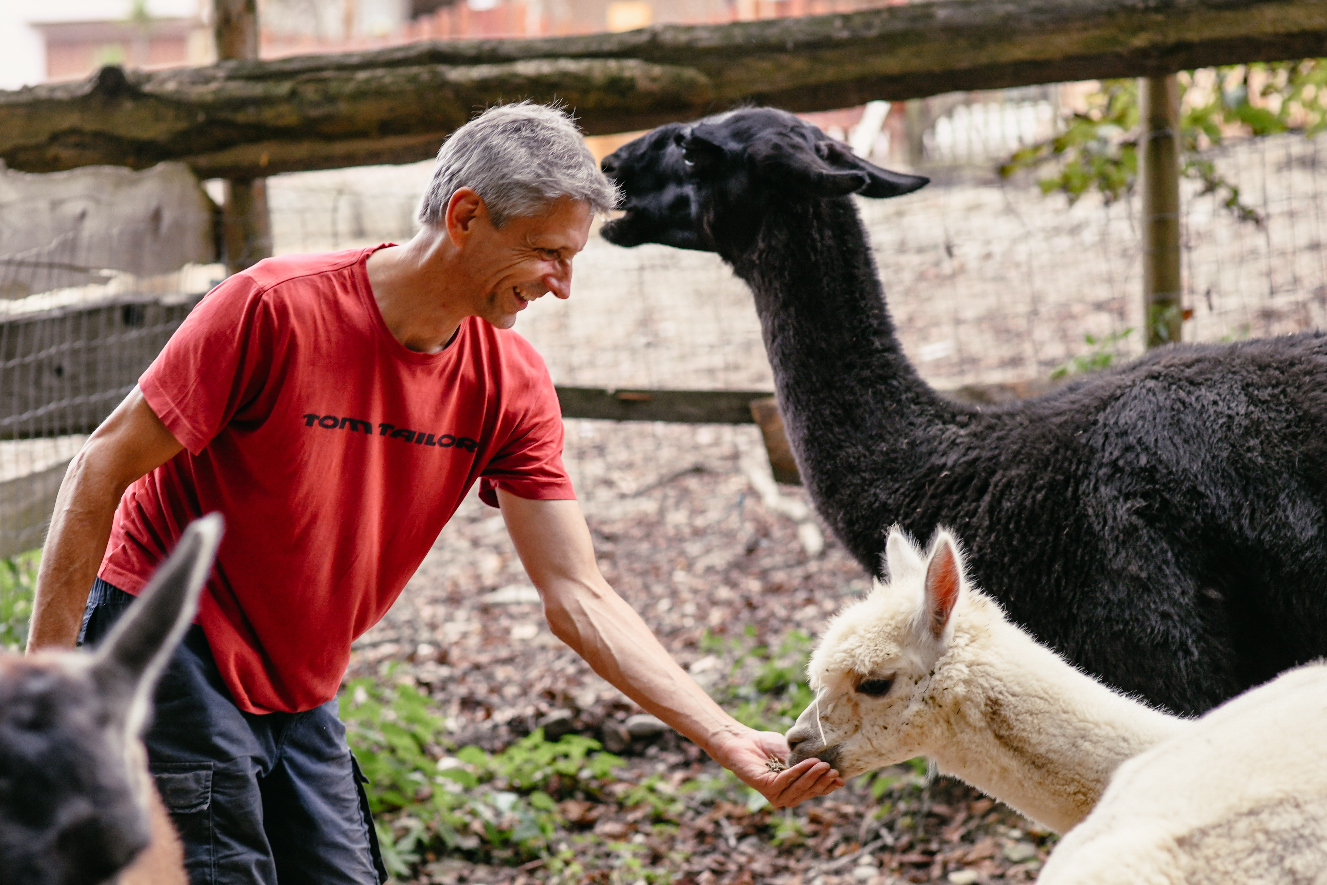 Freude an Alpakas Gastgeber 