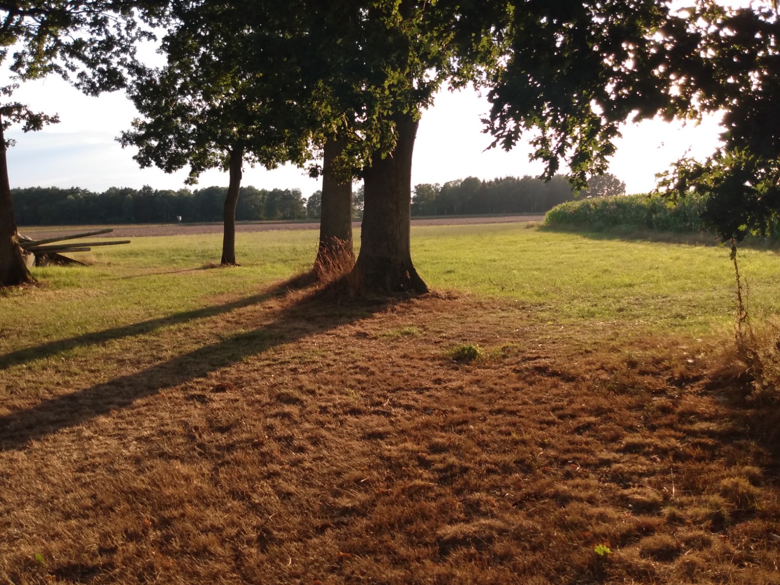 Ferien Bauernhof: Stellplatz an den Eichen - www.wohnmobilstellplätzehebersurbostel.de