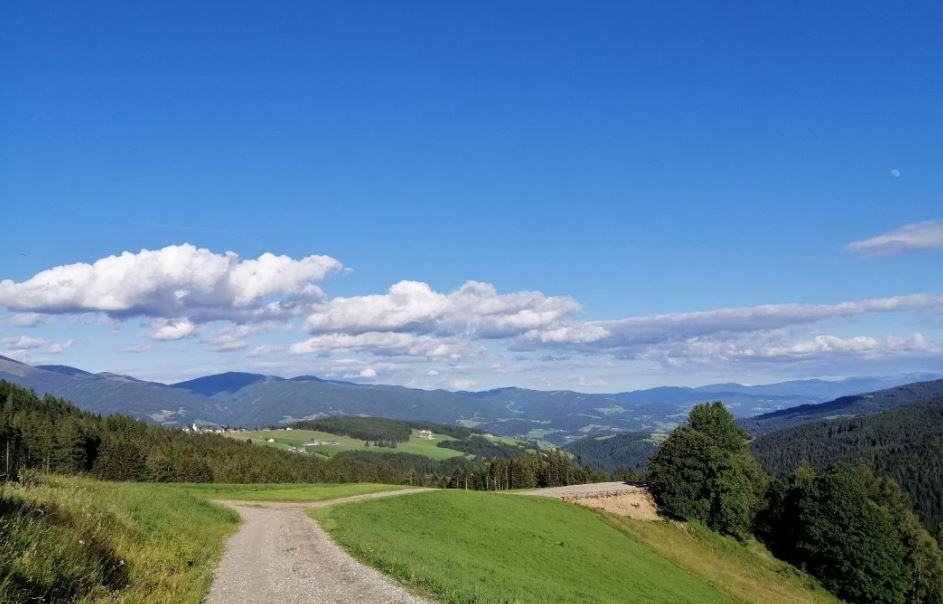 počitnice na kmetiji - Hunde: erlaubt - Deutschlandsberg - Zufahrt zum Stellplatz - Rinner Almcamp