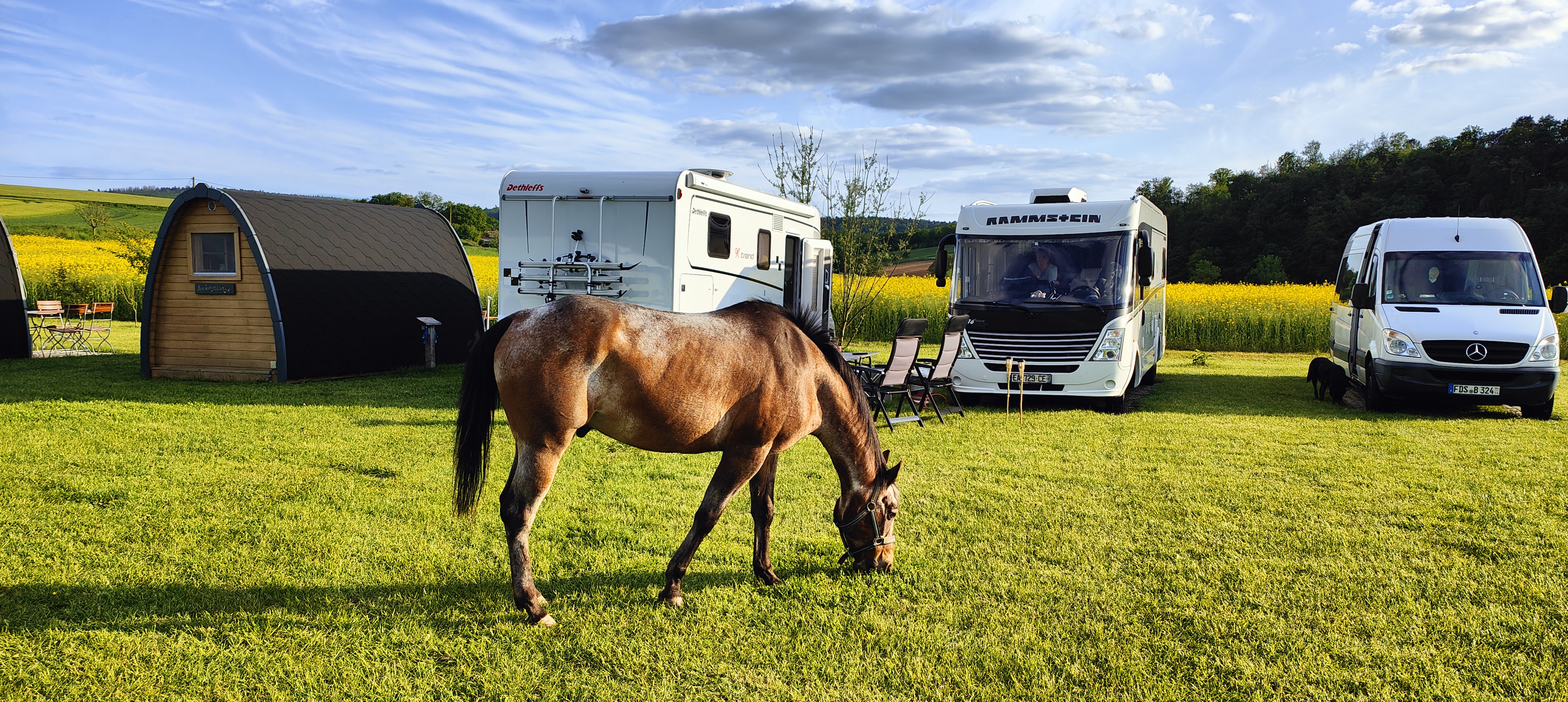 vacanza in fattoria - erreichbar mit: Auto - Weidenäckerhof Grebenau Familie Hildebrand 