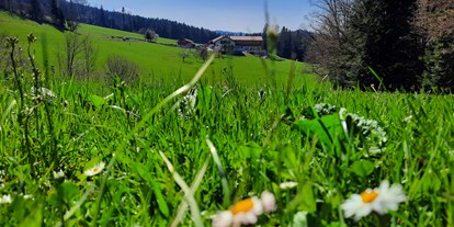 Urlaub auf dem Bauernhof - Oberbayern - Gruberhof Gmund