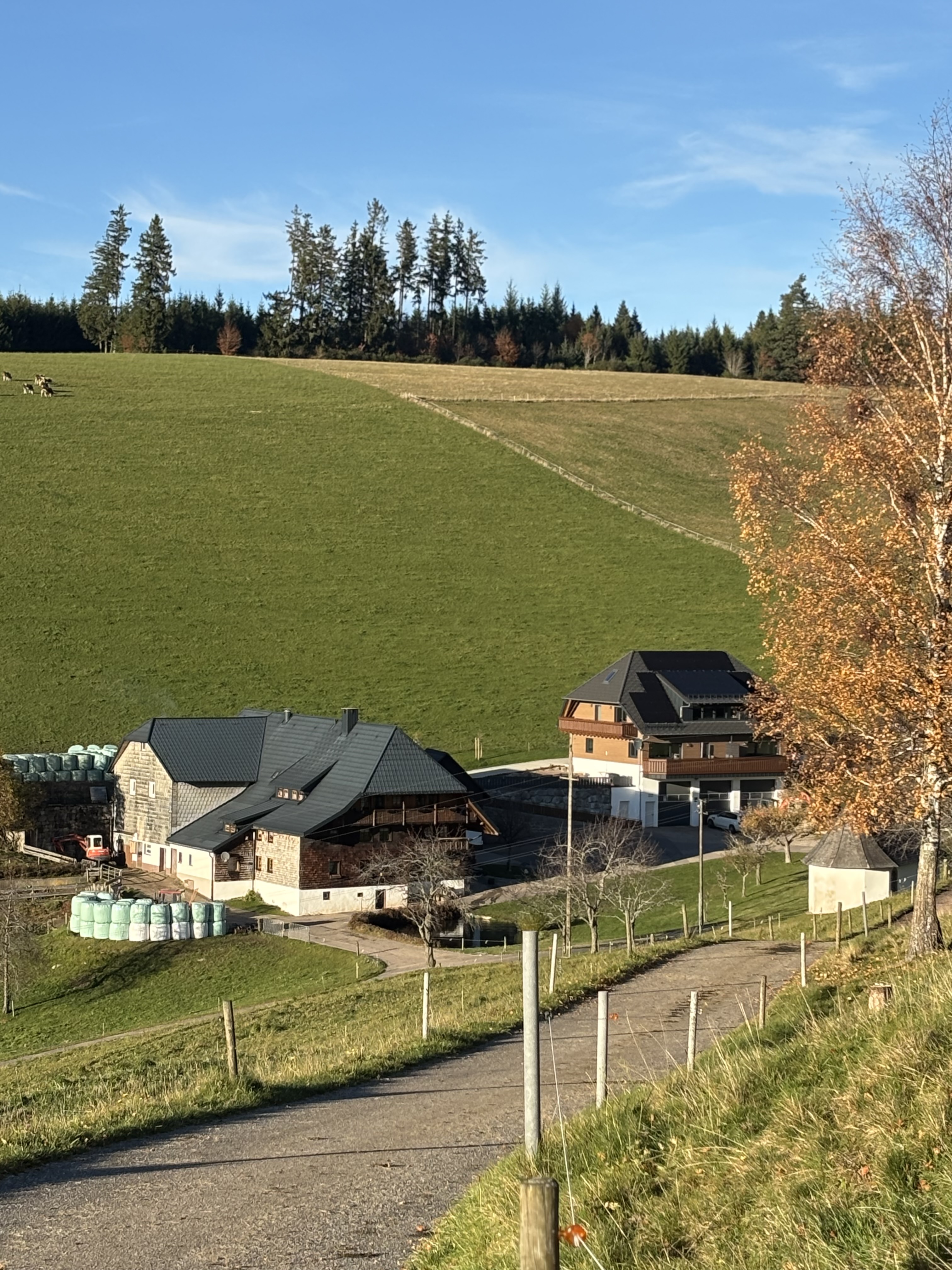 Urlaub auf dem Bauernhof - Ruhelage - Baden-Württemberg - Ansicht Hof und Ferienhaus - Kapellenhof Ferienwohnungen