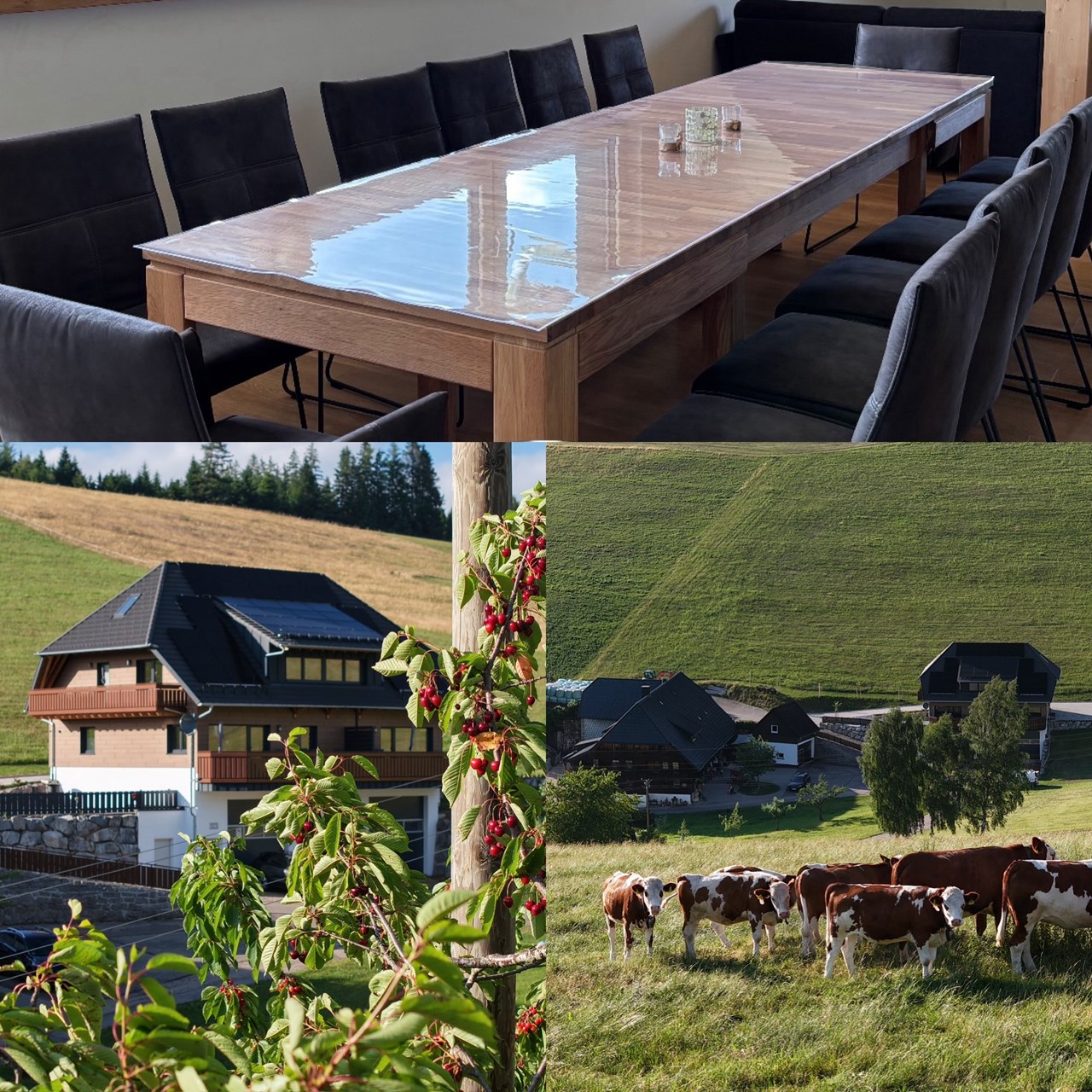 Kapellenhof Ferienwohnungen Présentation des chambres Maison de vacances Kapellenhof