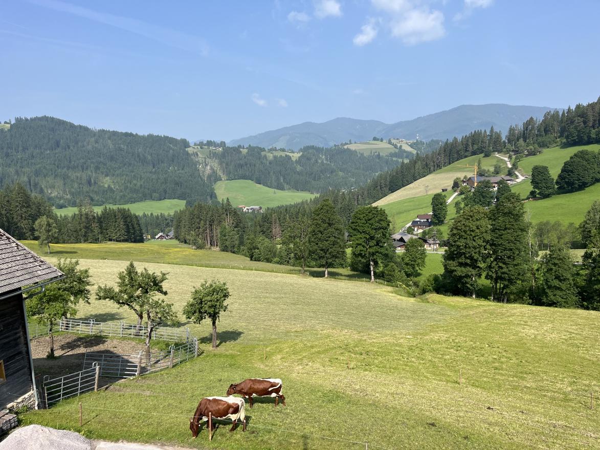 vacances à la ferme - Göriach (Göriach) - Peterlehen