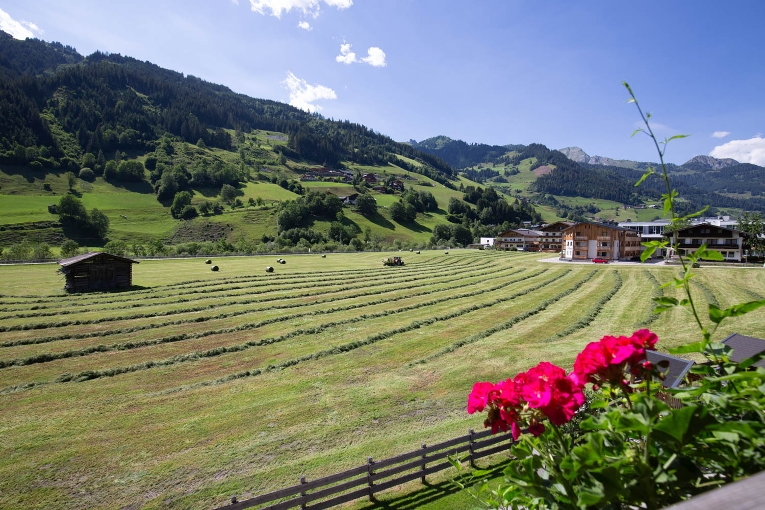 Ferien Bauernhof: Astlhof
