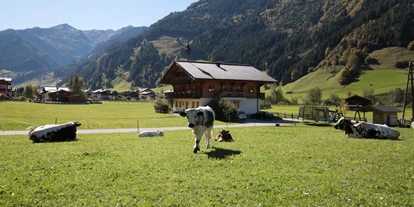 vakantie op de boerderij - Tiere am Hof: Kühe - Erlfeld - Astlhof