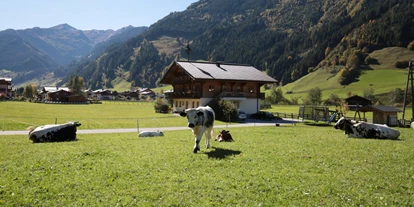 Urlaub auf dem Bauernhof - Tiere am Hof: Hasen - Annaberg im Lammertal - Astlhof