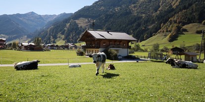 Urlaub auf dem Bauernhof - Tiere am Hof: Kühe - Neuschitz - Astlhof
