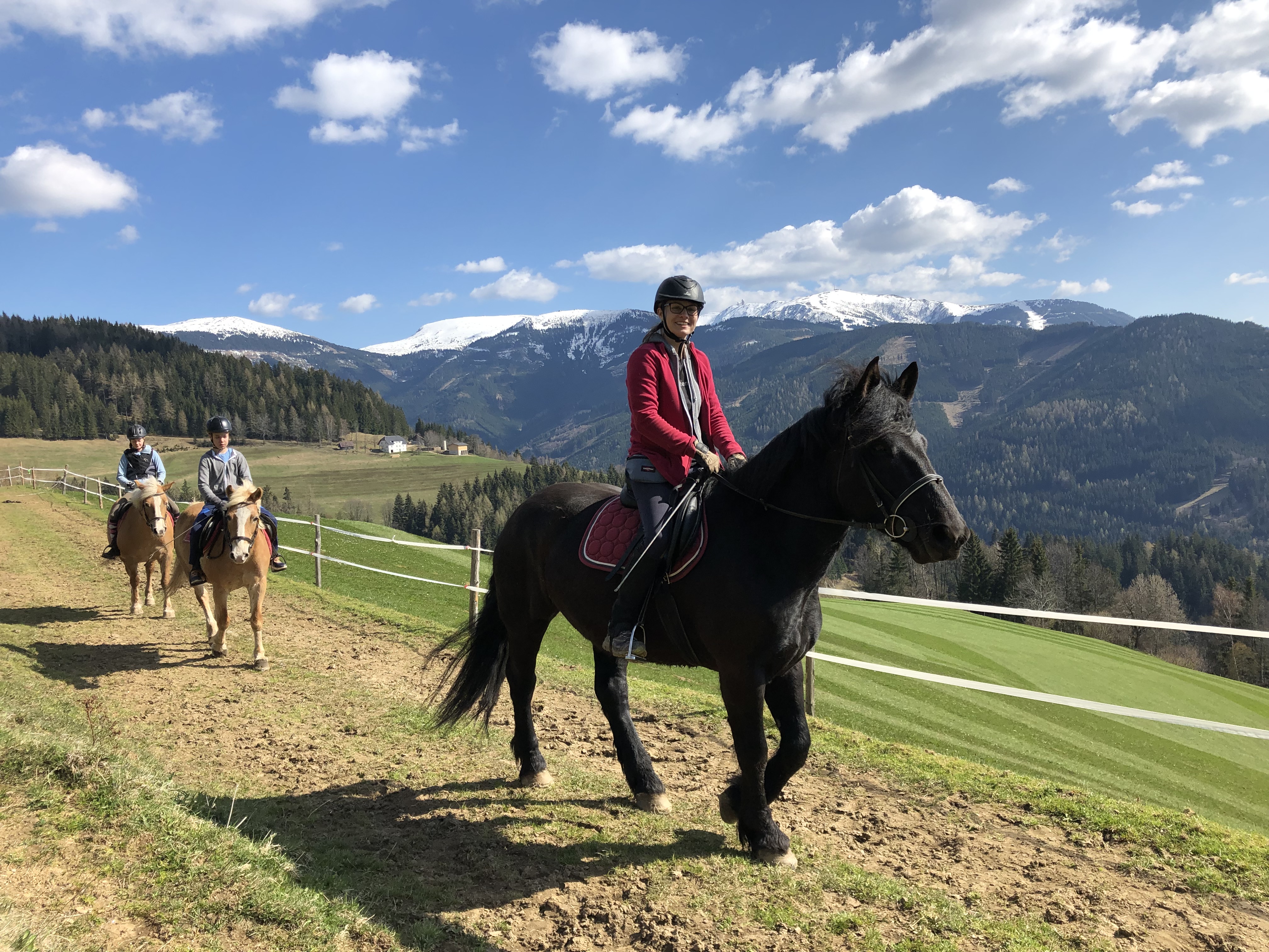 Ferien Bauernhof: Ausritte im Urlaub für Fortgeschrittene und am Zügel geführt für Anfänger - Bauernhof Pension Juri - Aktivnosti, Gospodarsko dvorište, Ljeto, Životinje