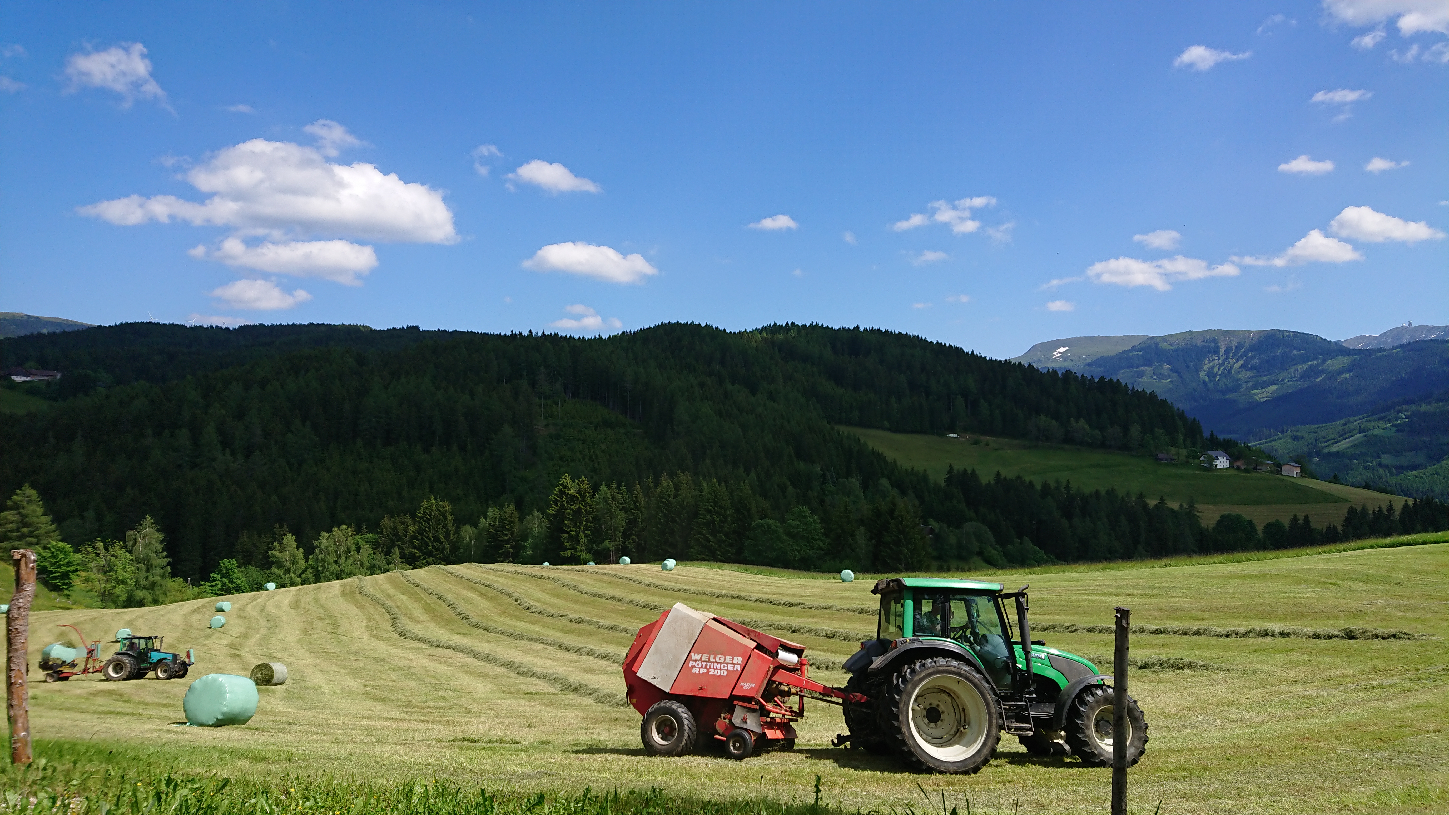 Ferien Bauernhof: Echter Bauernhof mit aktiver Landwirtschaft in Kärnten - Bauernhof Pension Juri - Gospodarsko dvorište, Ljeto