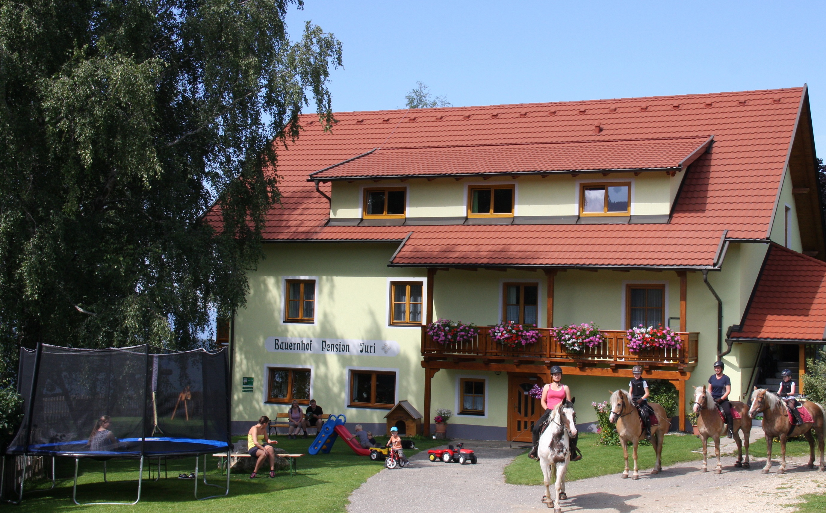 počitnice na kmetiji - Urlaub auf der Alm - Sommerurlaub am Bauernhof Pension Juri in Kärnten - Bauernhof Pension Juri