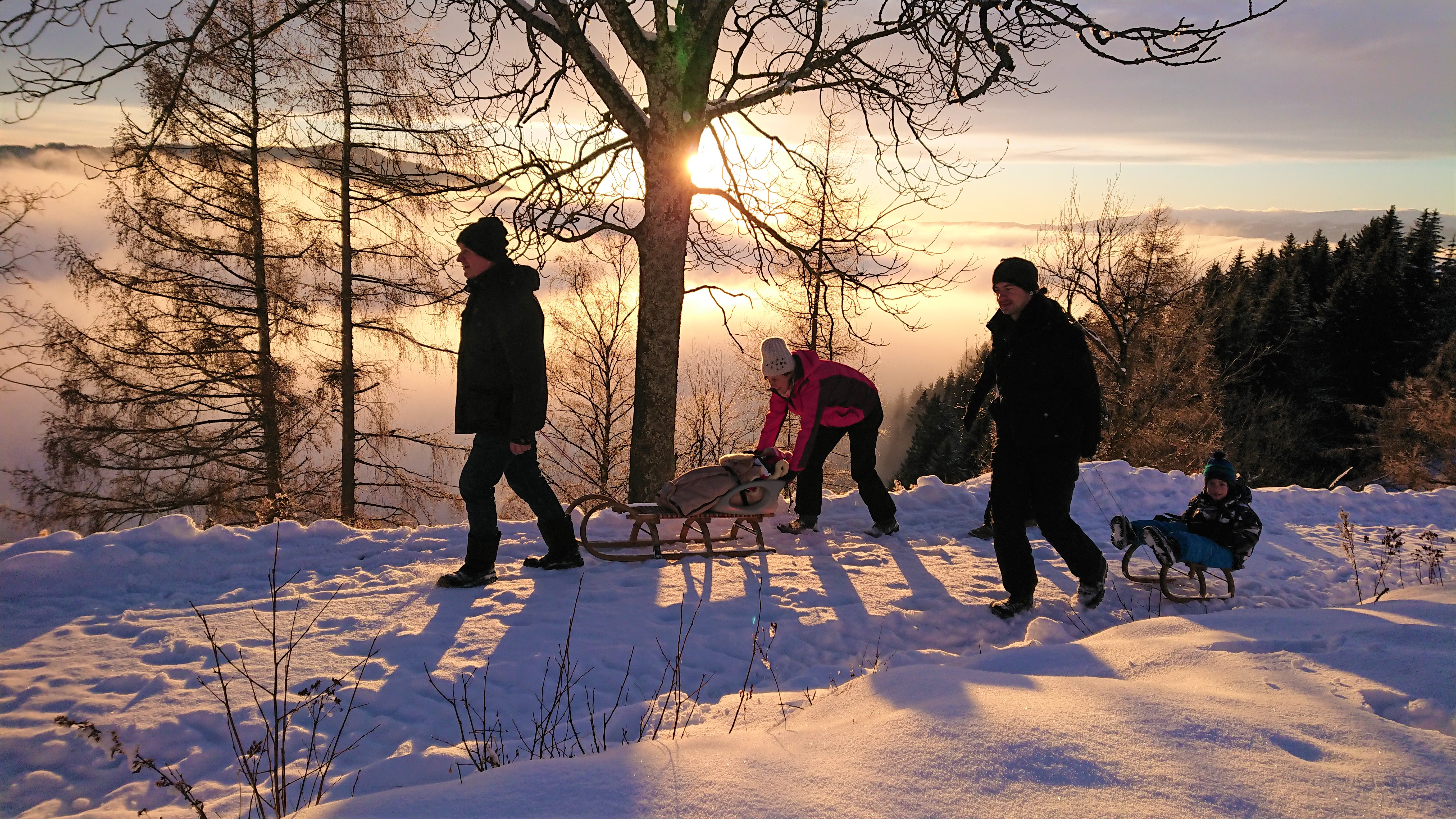 Ferien Bauernhof: Abseits der Pisten den Winter am Bauernhof Pension Juri genießen - Bauernhof Pension Juri - Aktivnosti, Gospodarsko dvorište, zimski