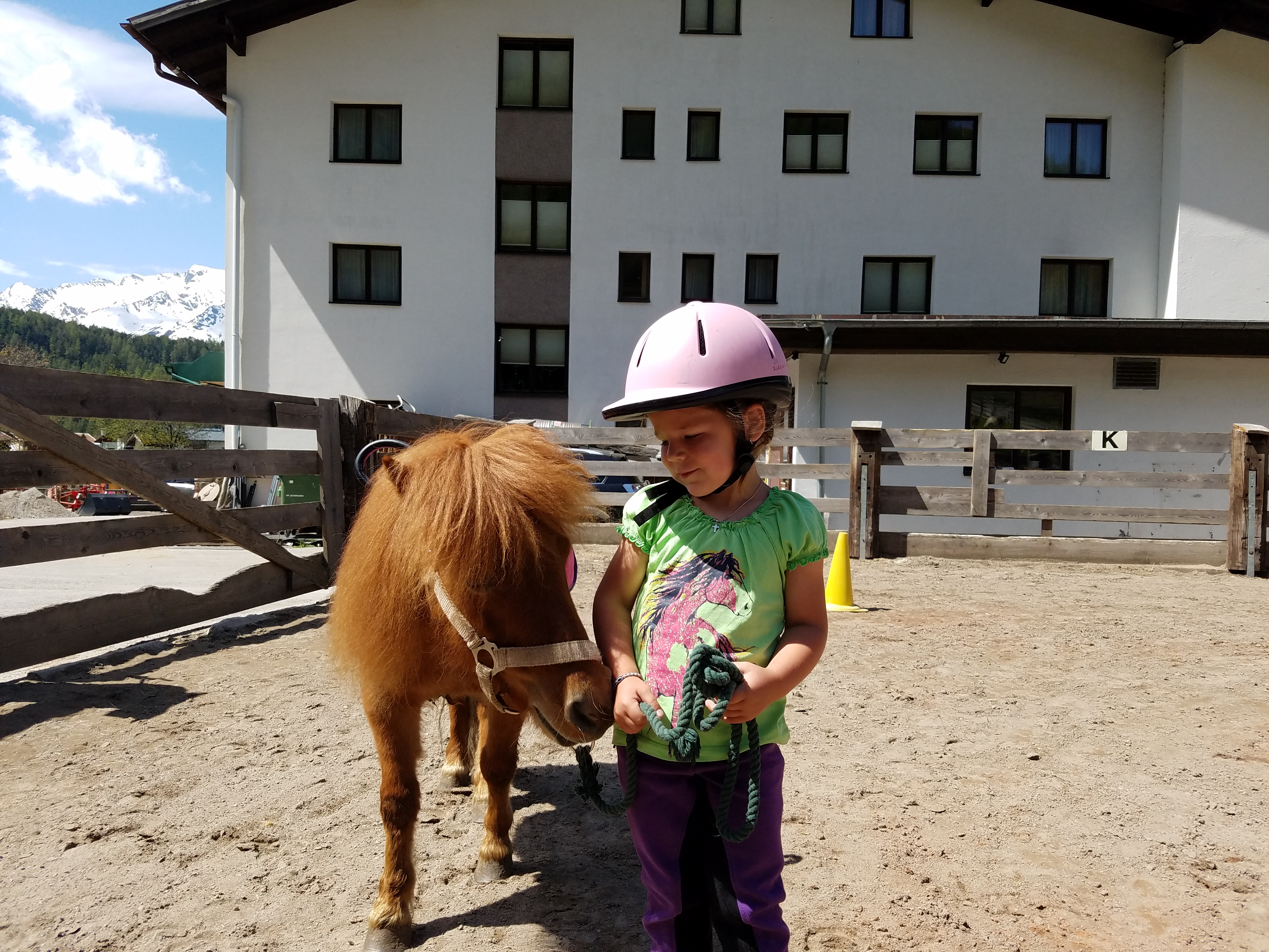 počitnice na kmetiji - Reitspaß für groß & klein - Reiterhof Alpin Appart Reitspaß an Pfingsten