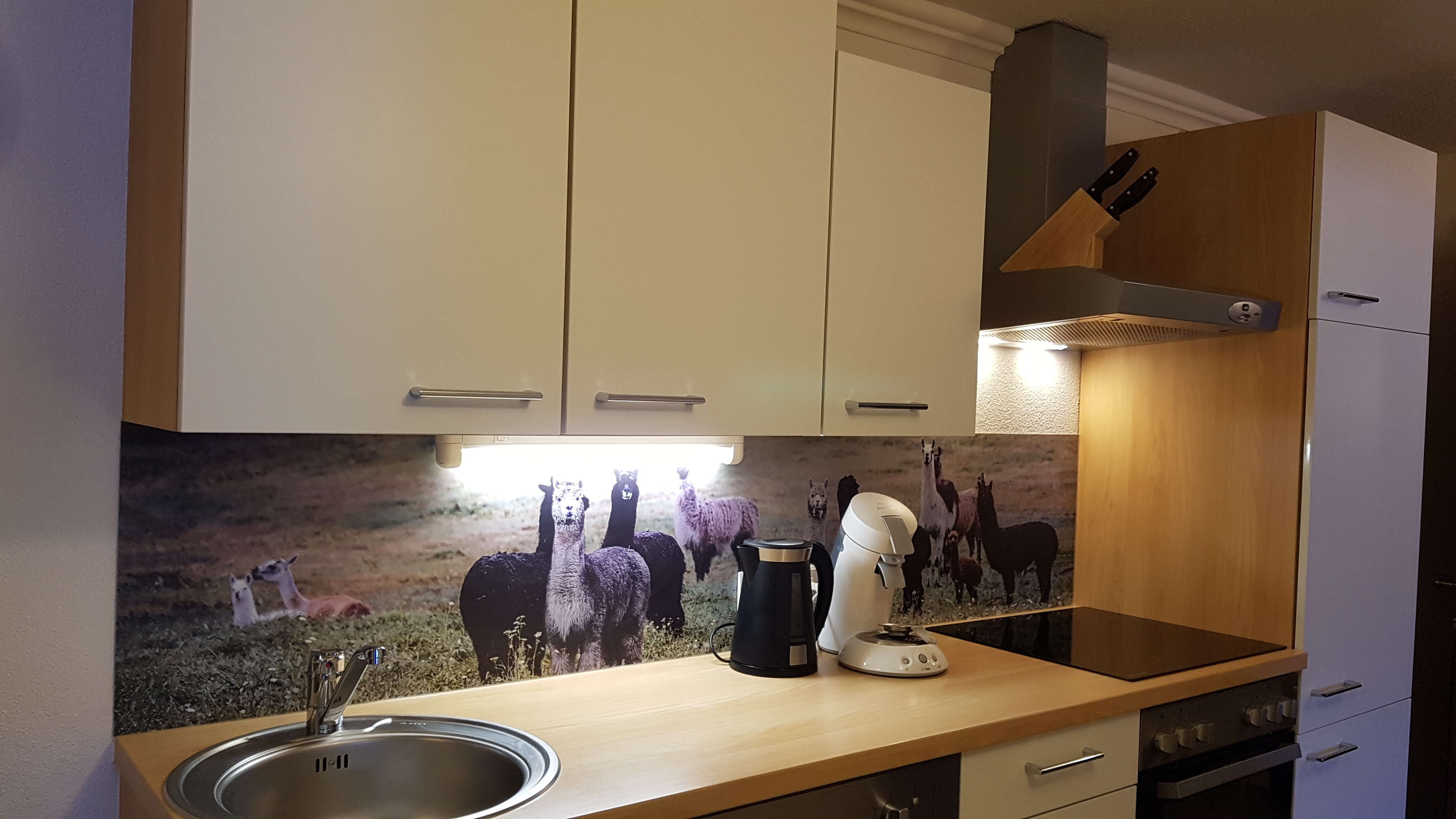 počitnice na kmetiji - Reiterhof Alpin Appart 5=4 Mehr Urlaubstage genießen!