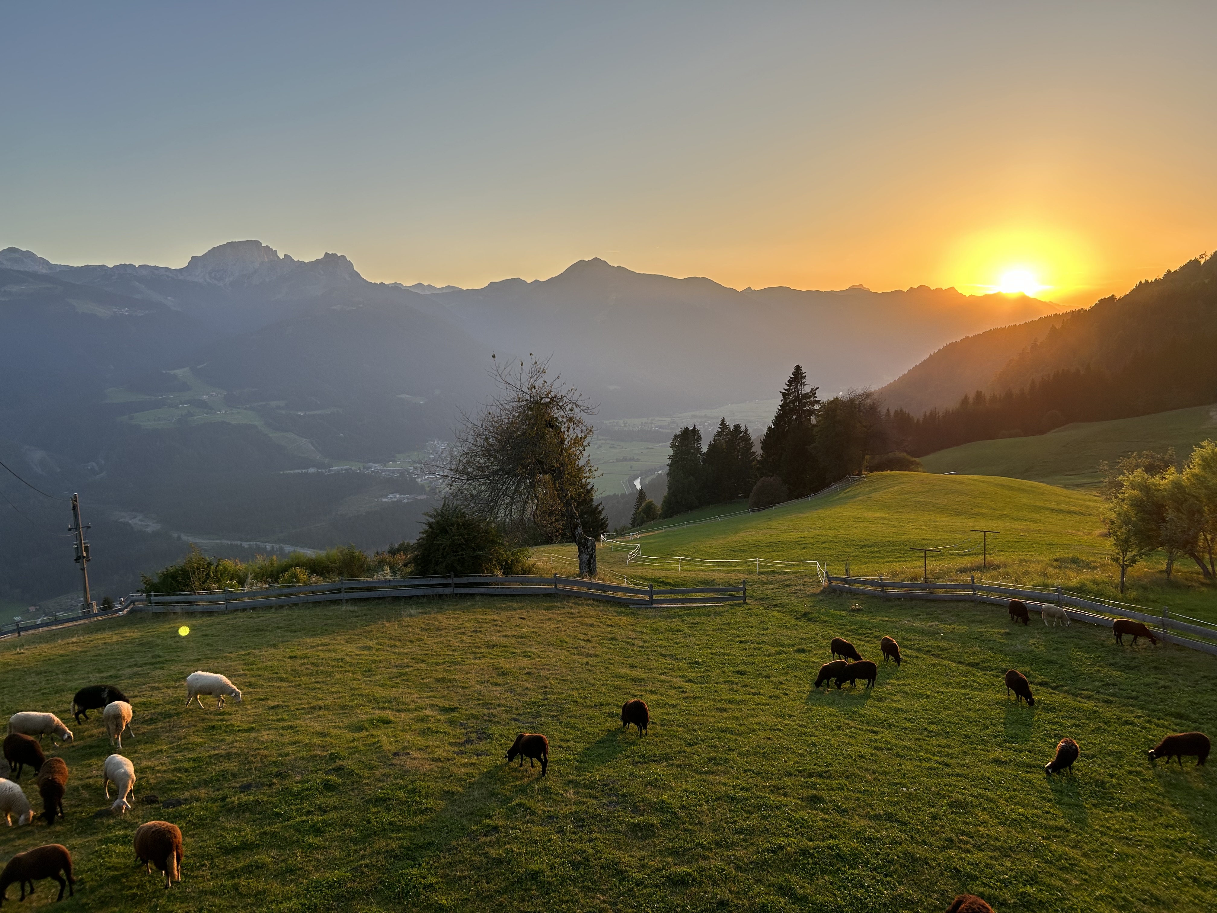 Ferien Bauernhof: Sonnenuntergang am Guggenberg - Mösslacherhof