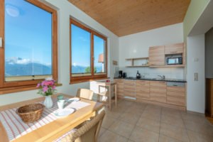 Mösslacherhof Vorstellung der Zimmer Traumblick 1