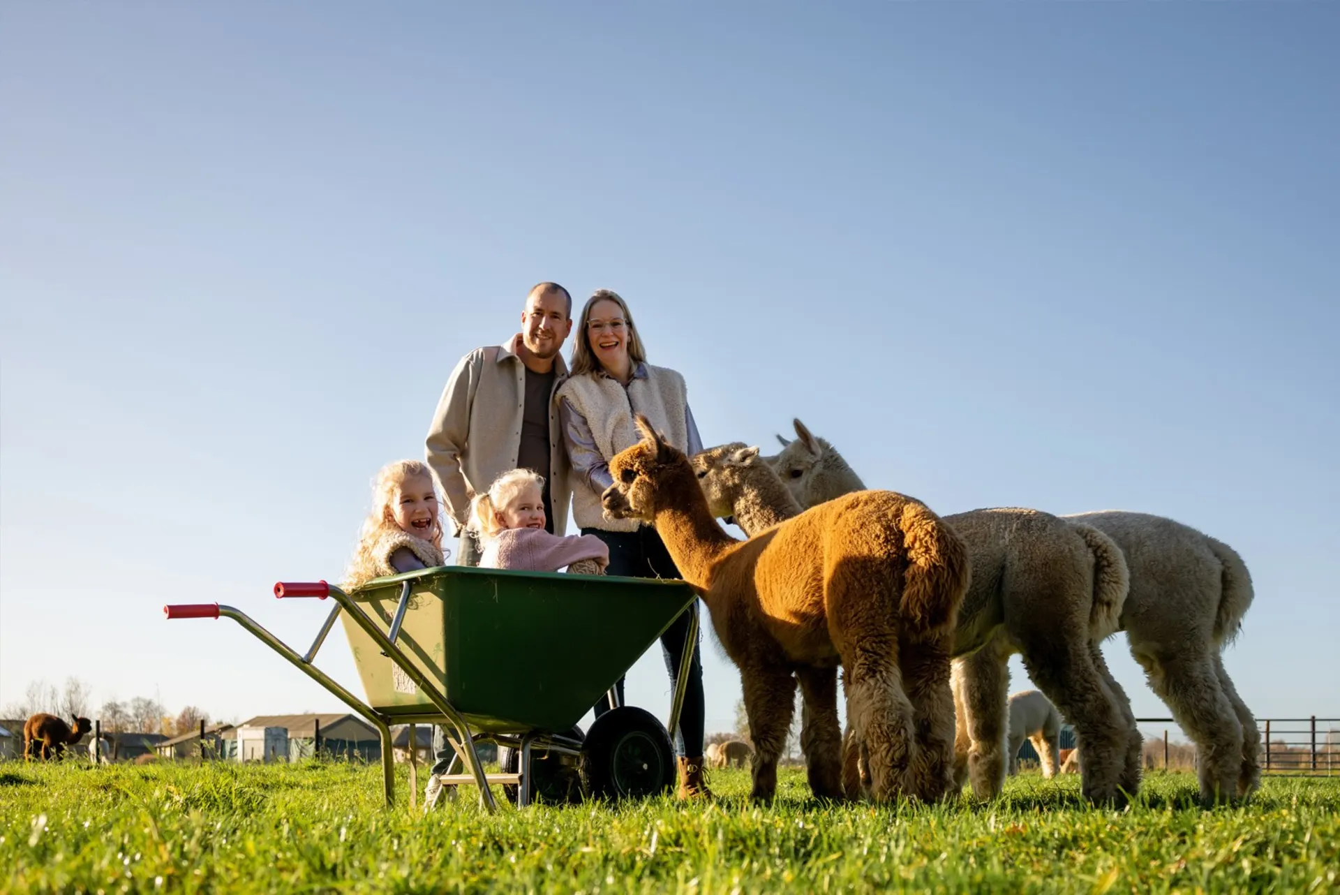 Urlaub auf dem Bauernhof - Art der Unterkunft: Camping-Stellplatz - Alpacafarm Vorstenbosch - Alpaca boerderij