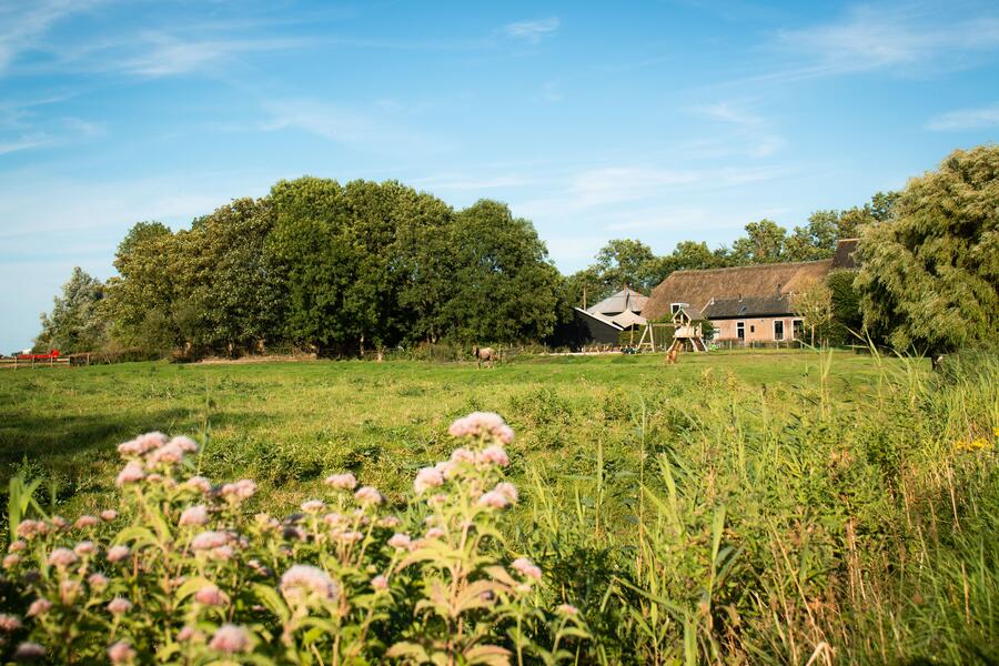 Ferien Bauernhof: Hoeve Dijkzicht