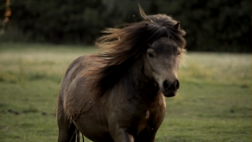 Ferien Bauernhof: Hoeve Dijkzicht