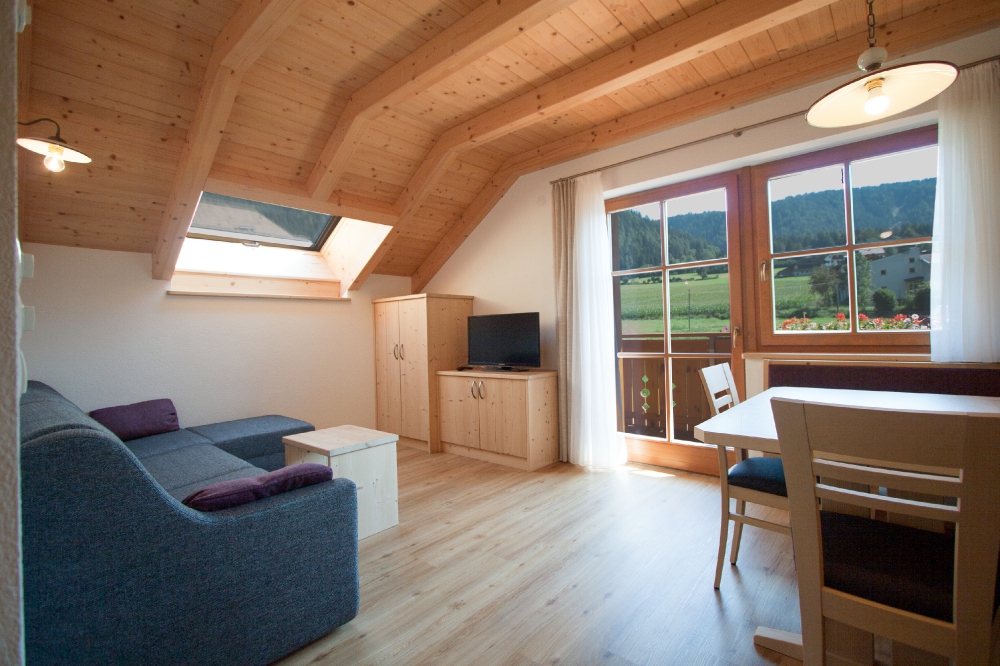 Hölzlhof - Urlaub auf dem Bauernhof Prezentacija soba Apartman za odmor 2