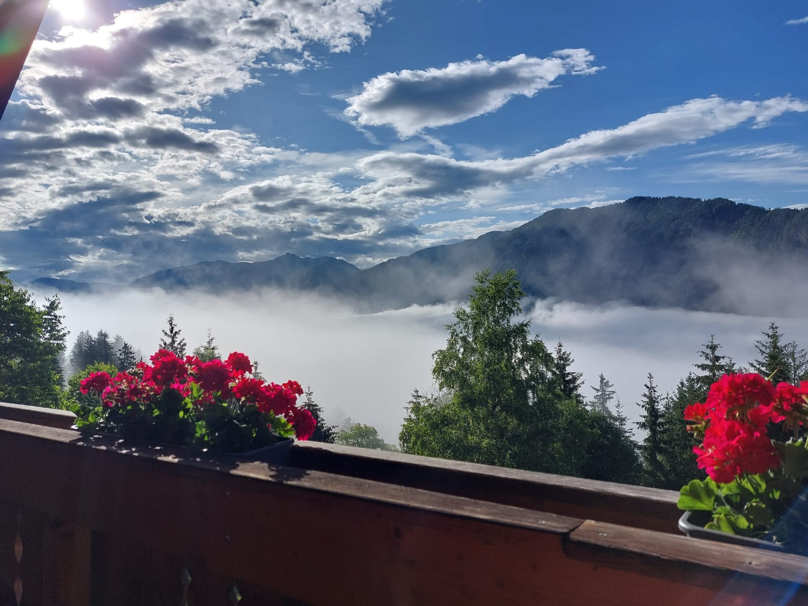 Ferien Bauernhof: Blick vom Balkon auf das Drautal - Waldpension Ranner - Zimmer