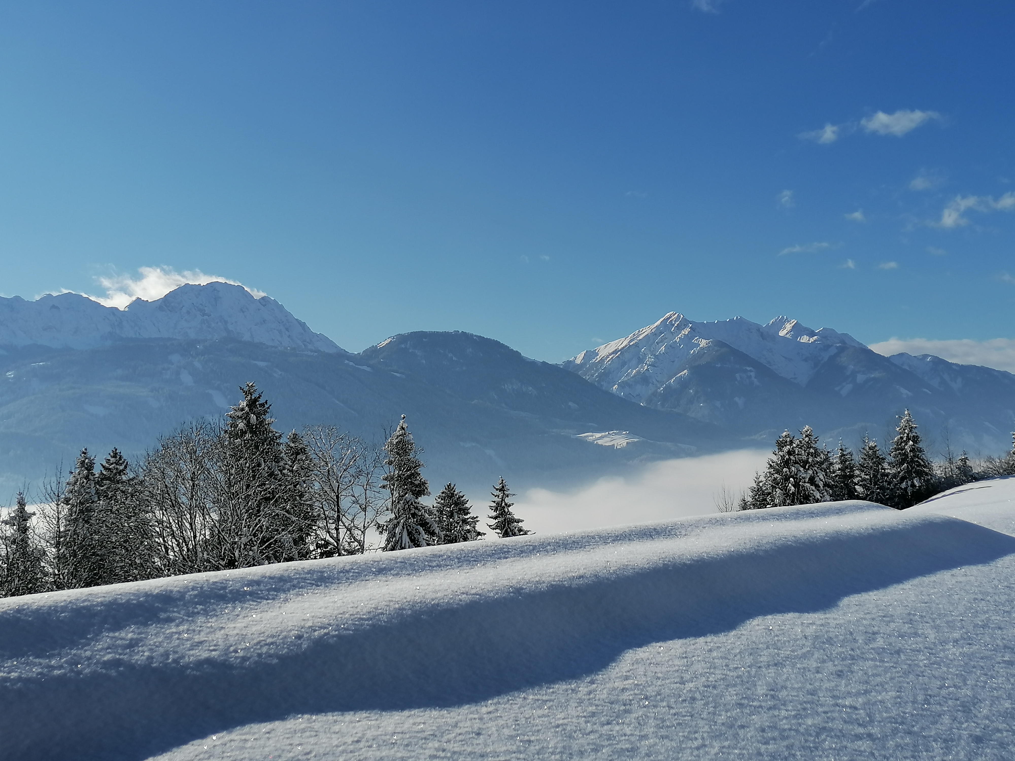 Ferien Bauernhof: Winter im Drautal - Waldpension Ranner - Winter