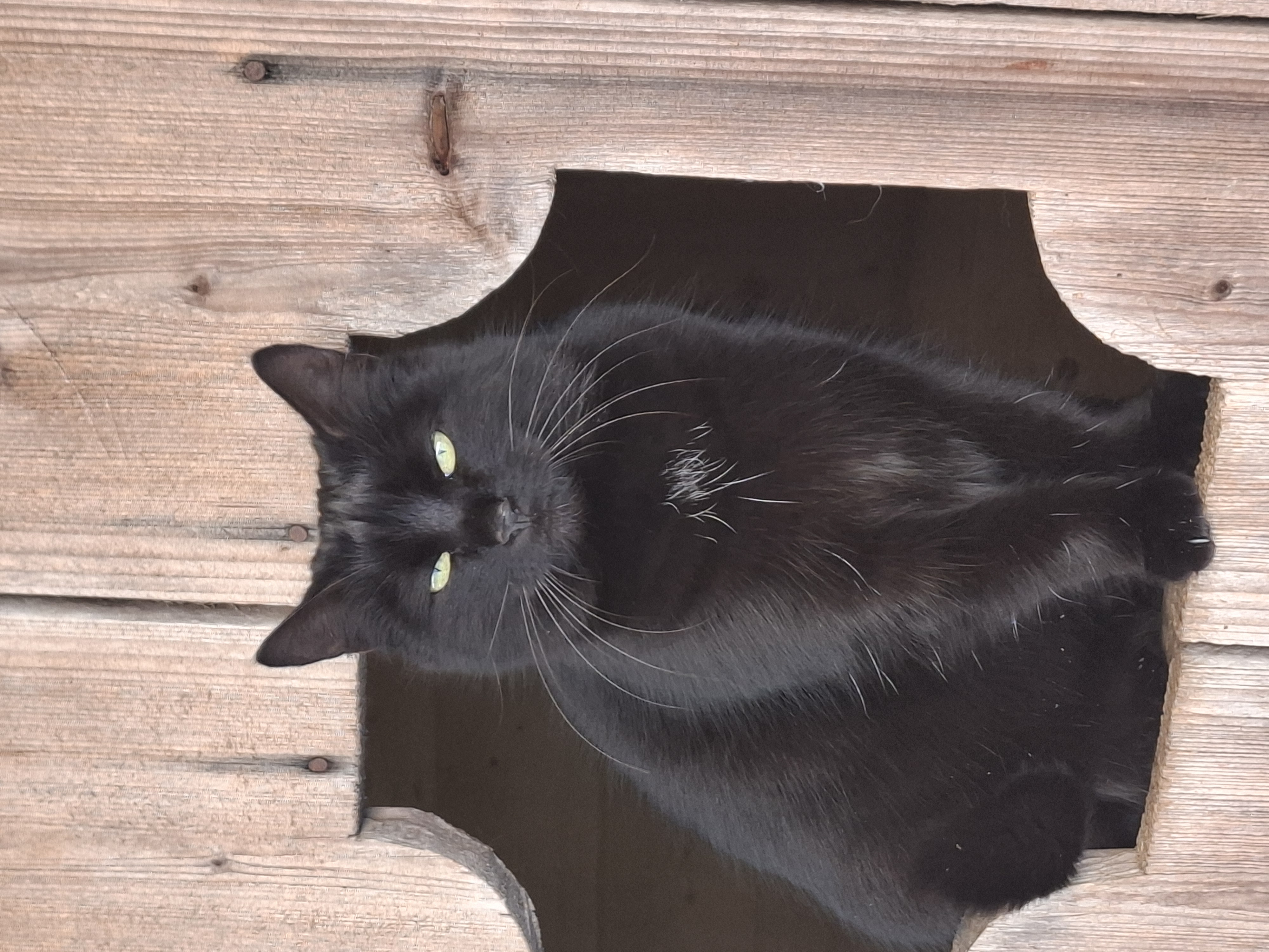 Urlaub auf dem Bauernhof - Chalet Kaiser